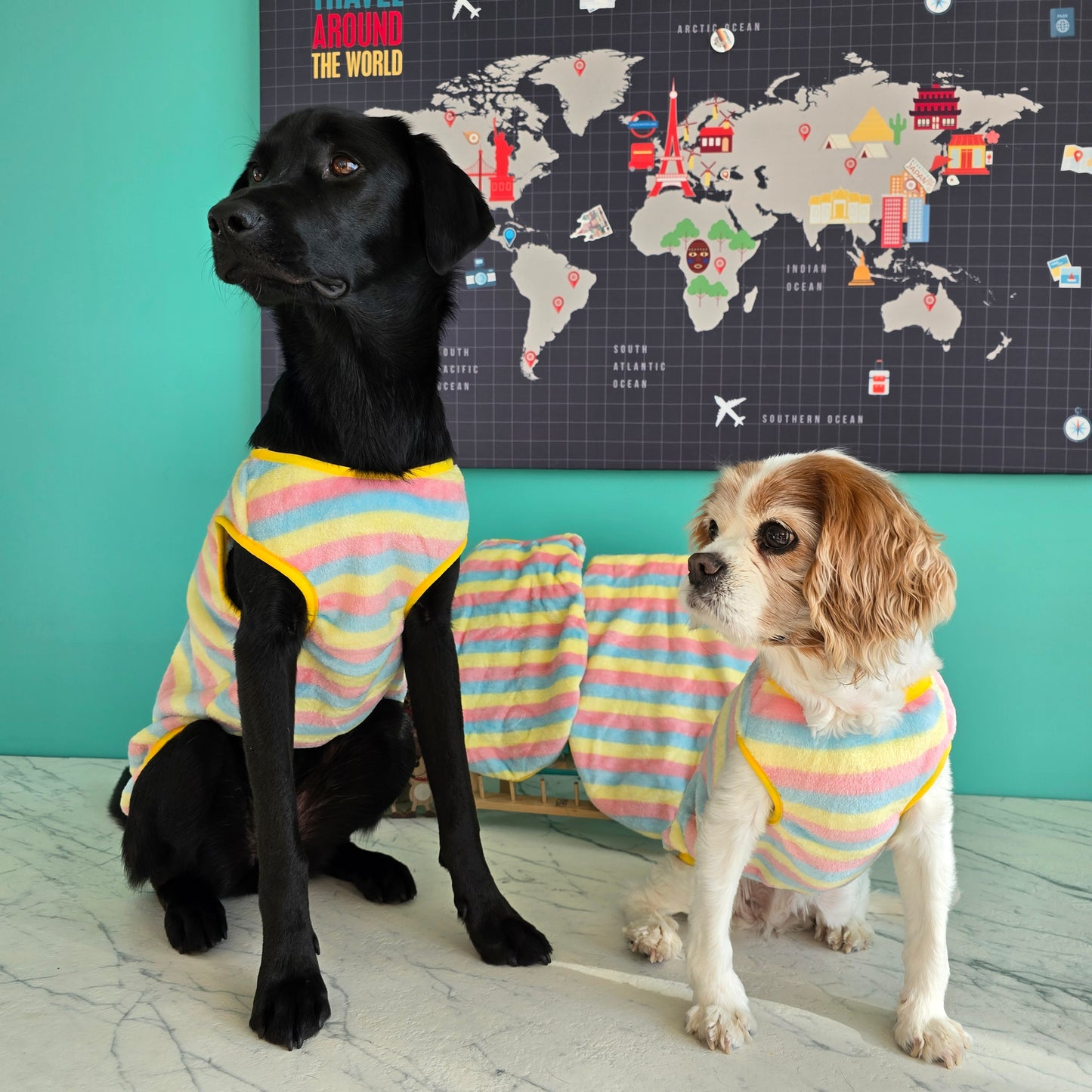 Yellow Striped Lightweight Dog Fleece Sweater