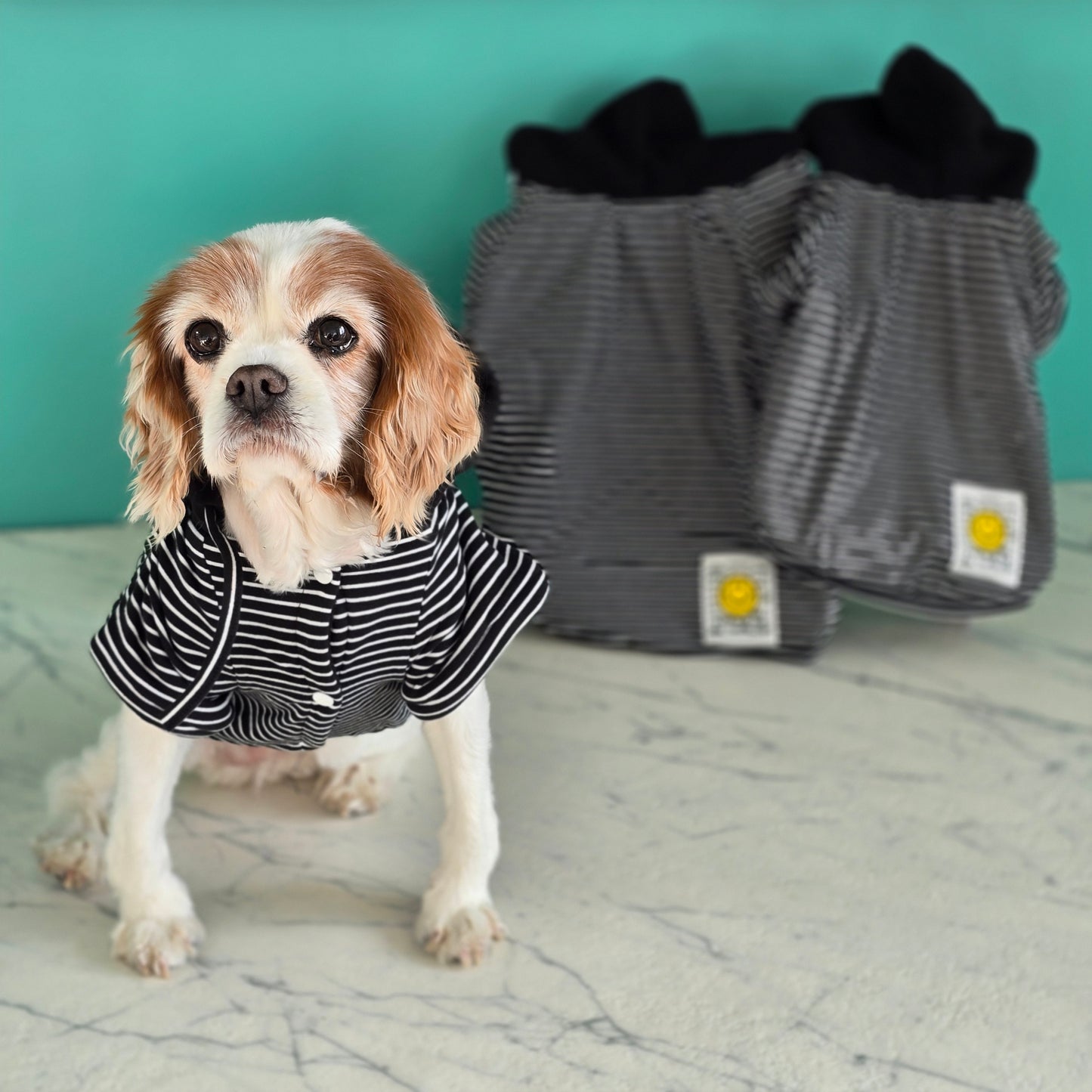 Thick and Warm Striped Hoodie with Yellow Smiley Patch