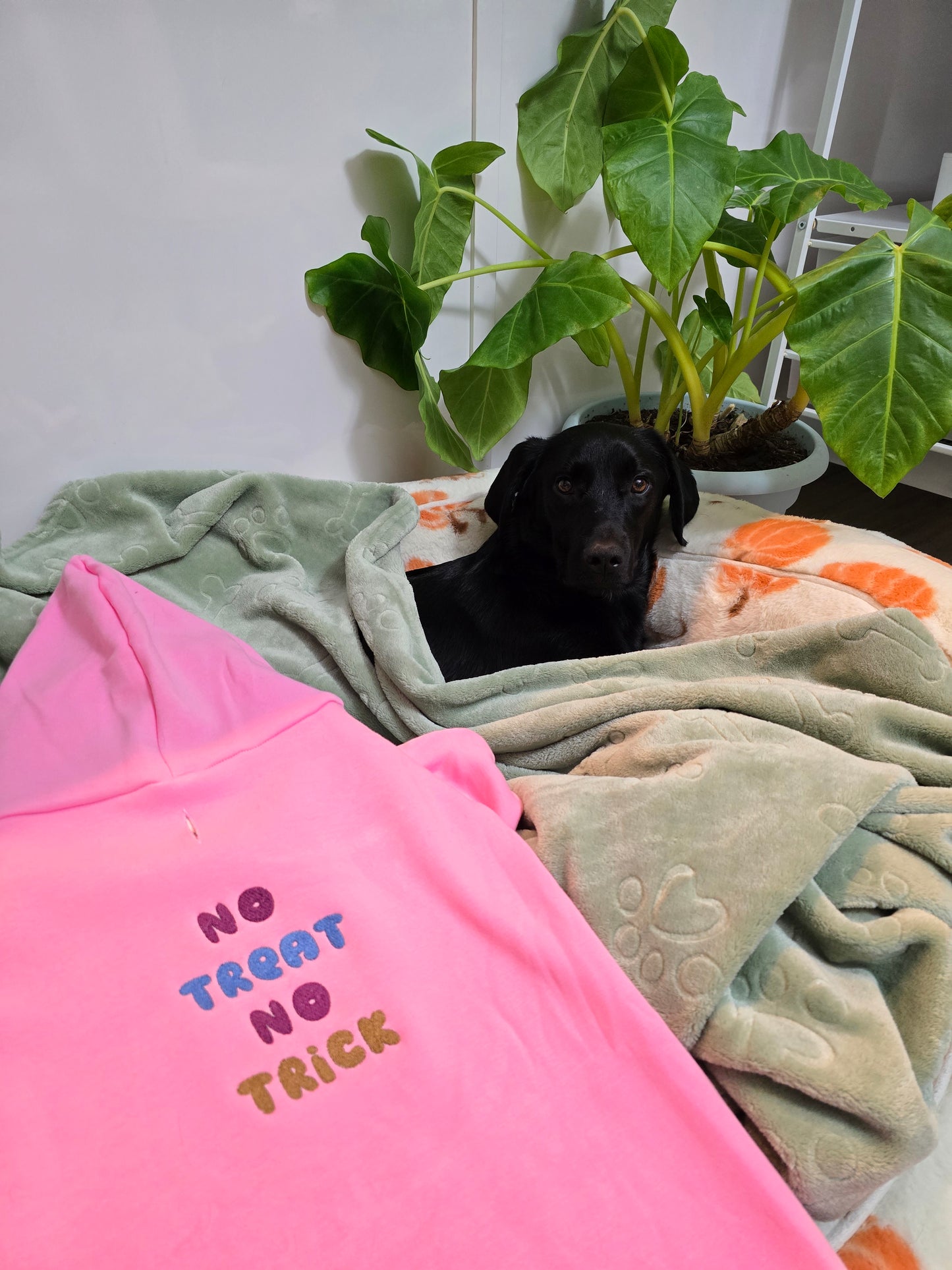 No Treat No Trick Hoodie | Custom Embroidery Available