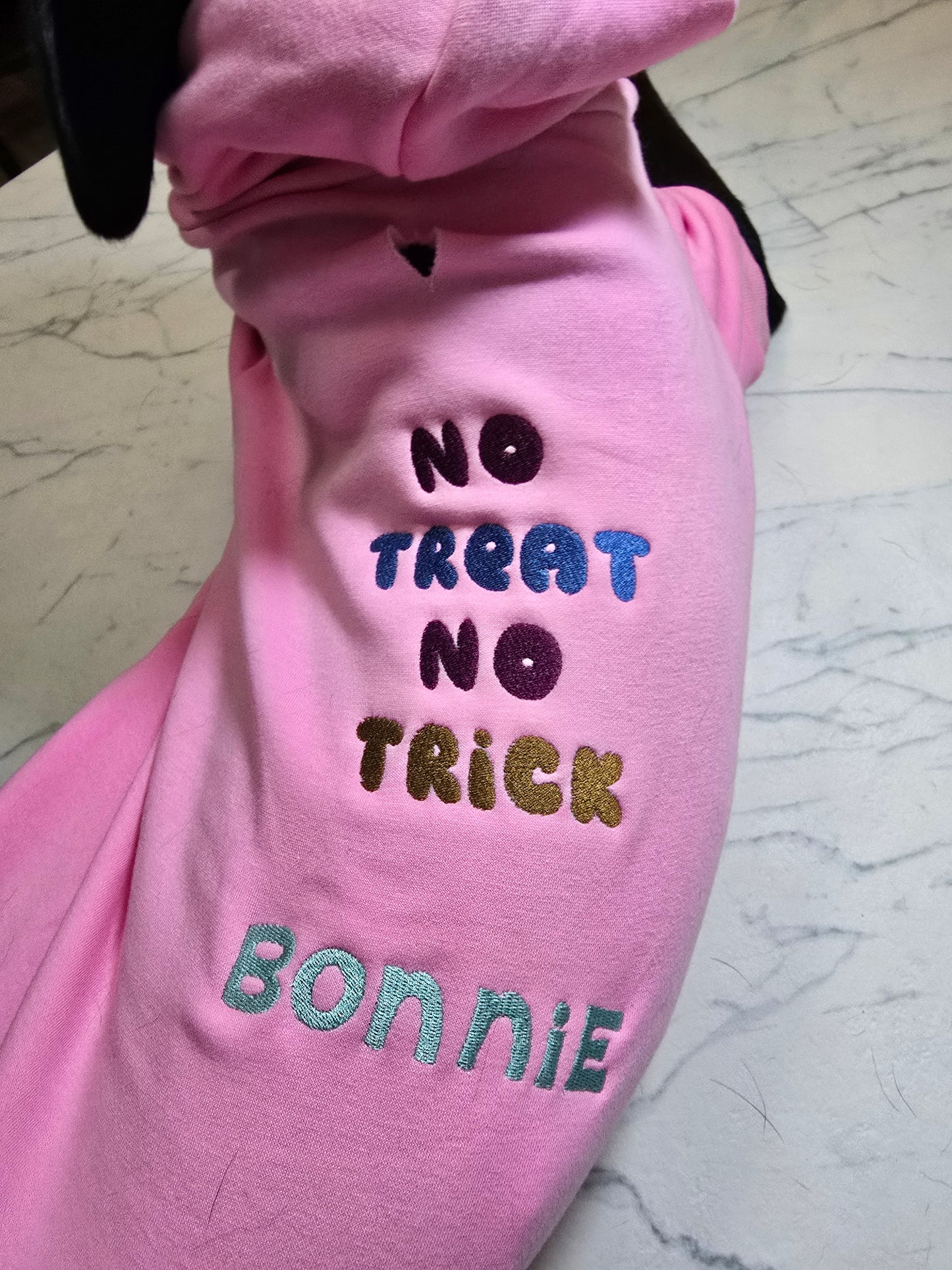 No Treat No Trick Hoodie | Custom Embroidery Available