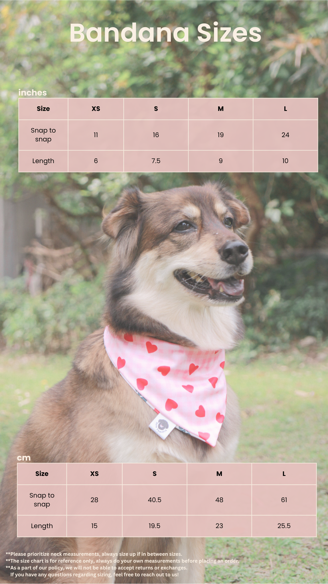 Spot & Sprout Reversible Bandana