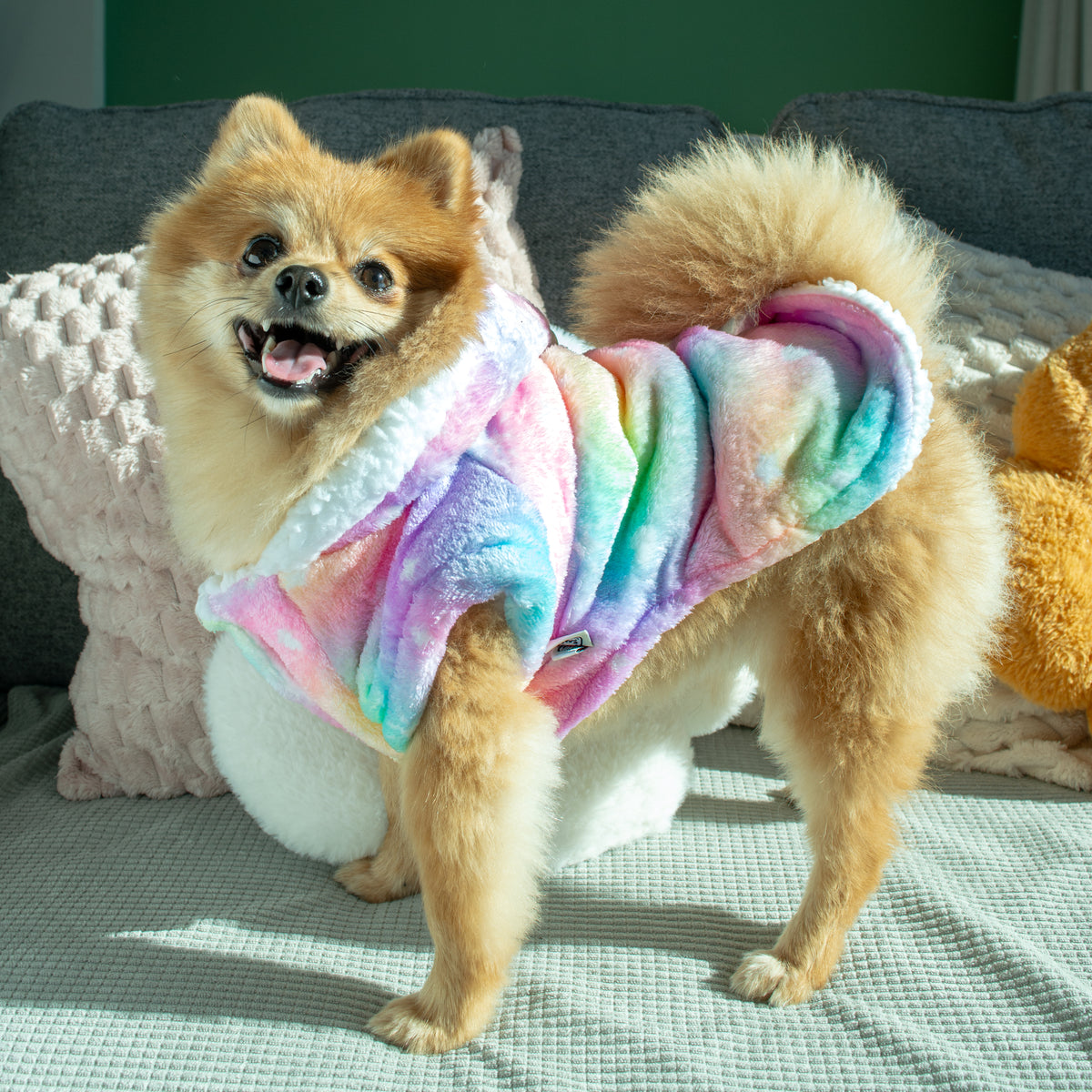 Rainbow Heart Hoodie