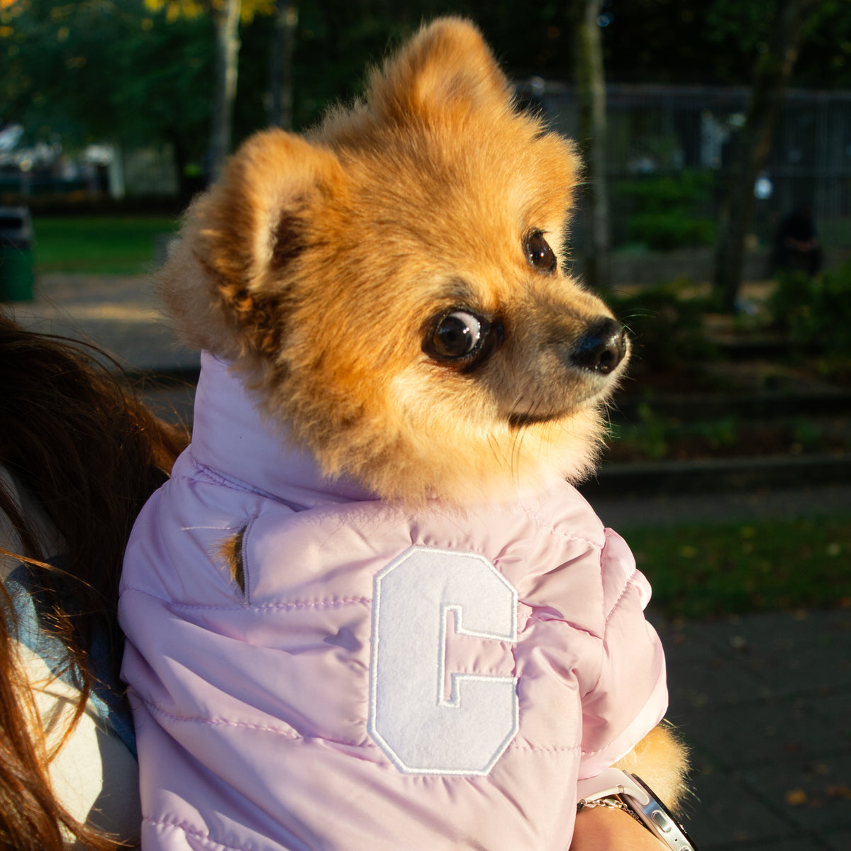 Cloud Puff Jacket (Blue / Pink)