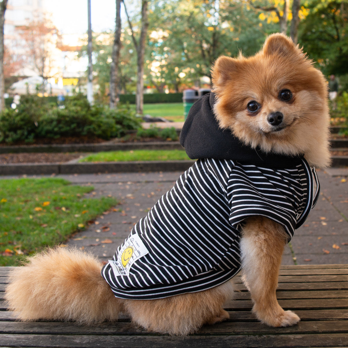 Happy Stripe Hoodie