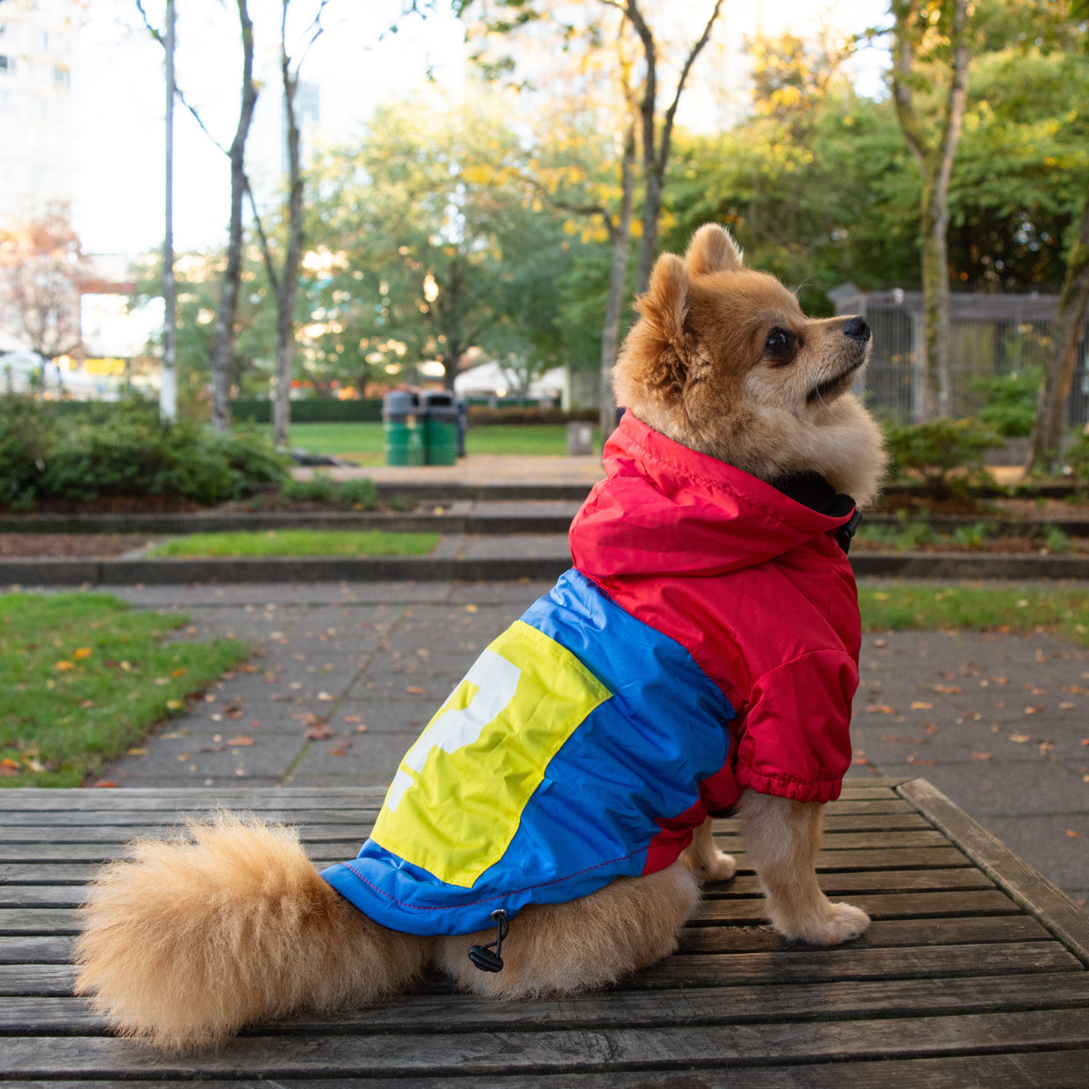 Mario Raincoat