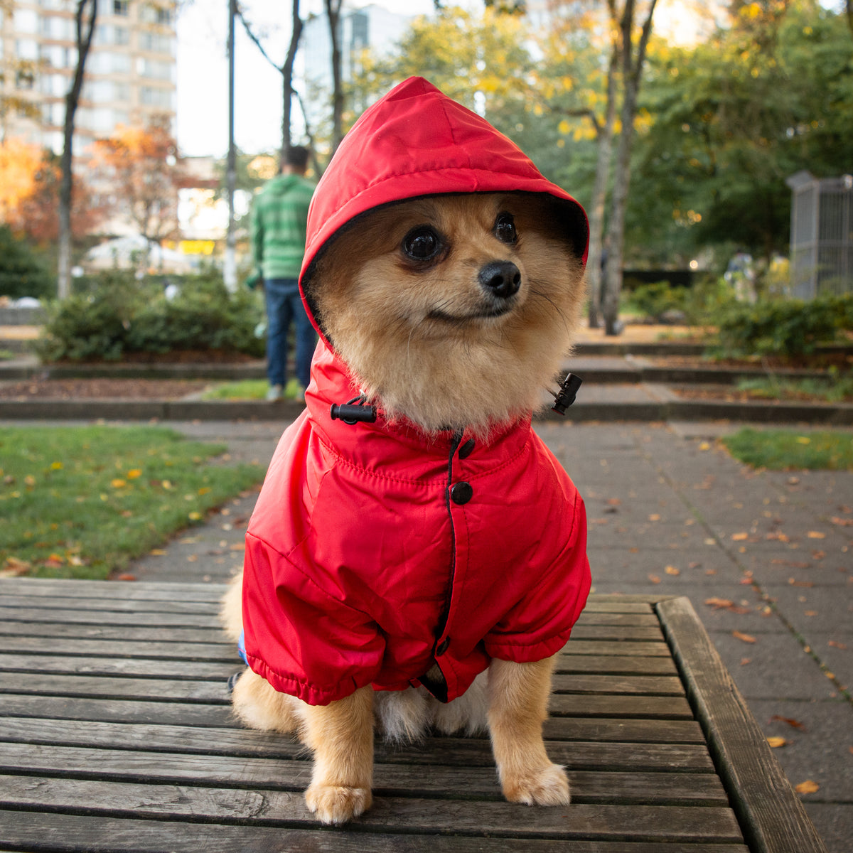 Mario Raincoat