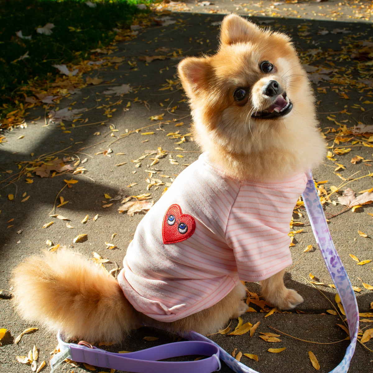 Heart Patch Tee (Yellow / Pink)