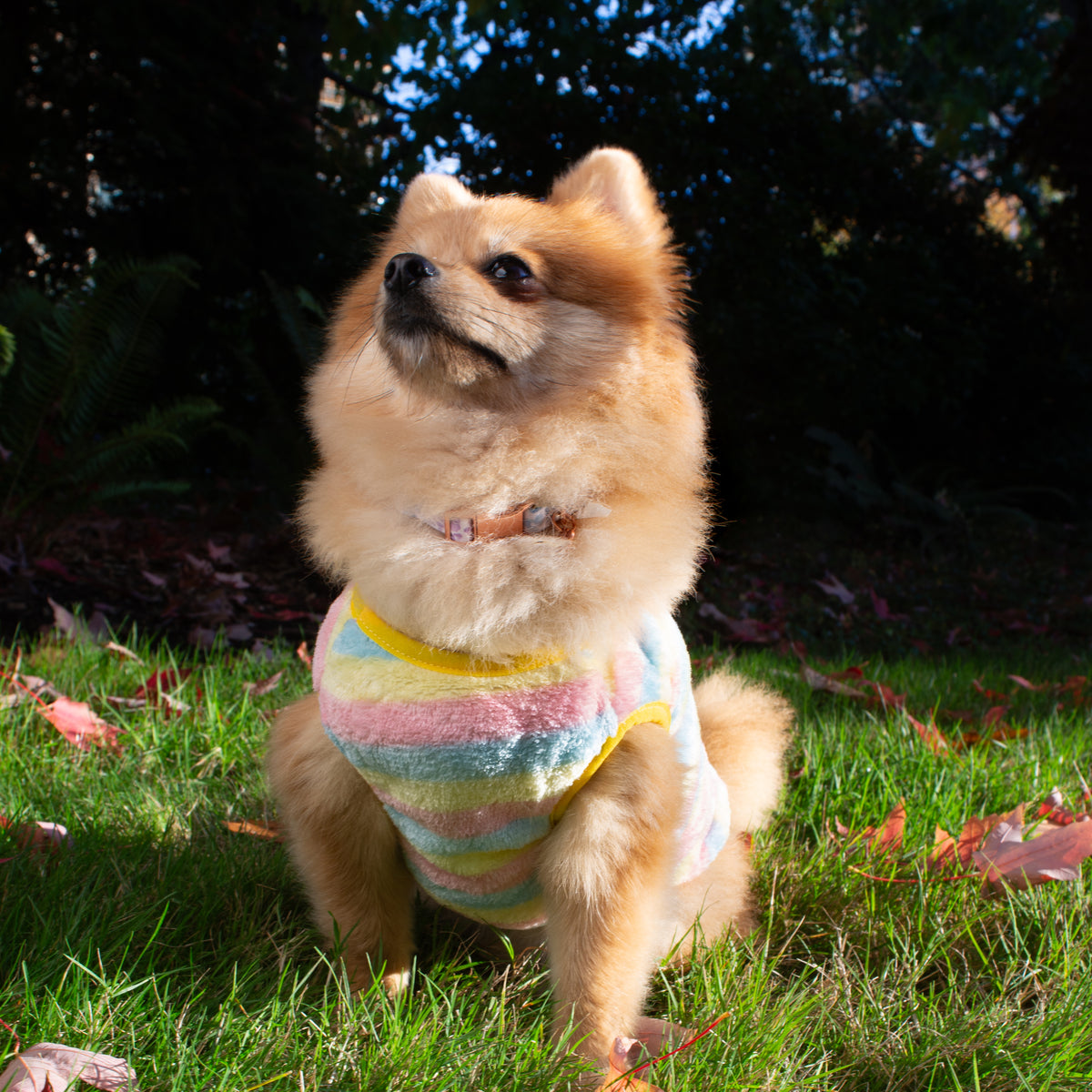 Lemon Stripe Fleece