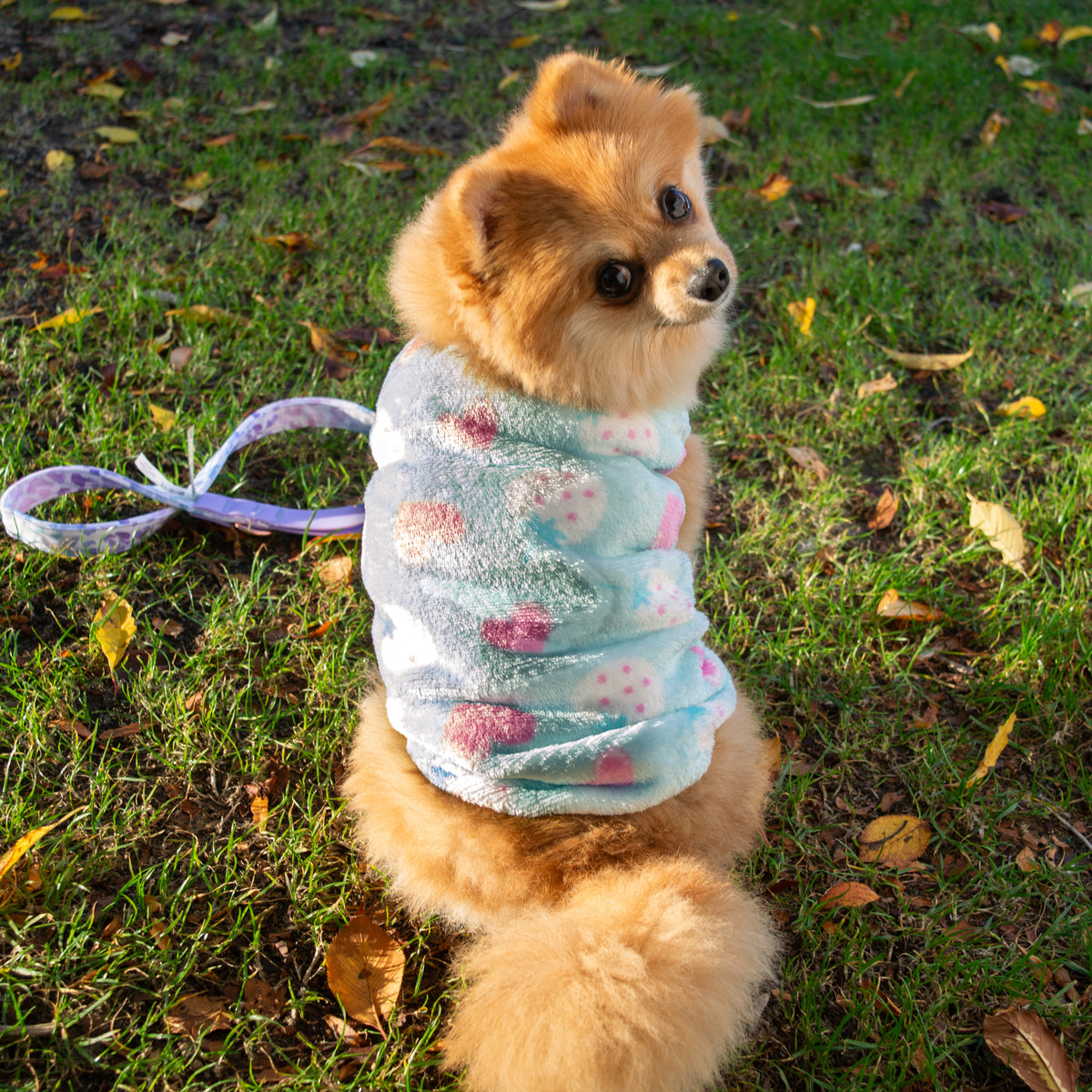 Strawberry Heart Fleece