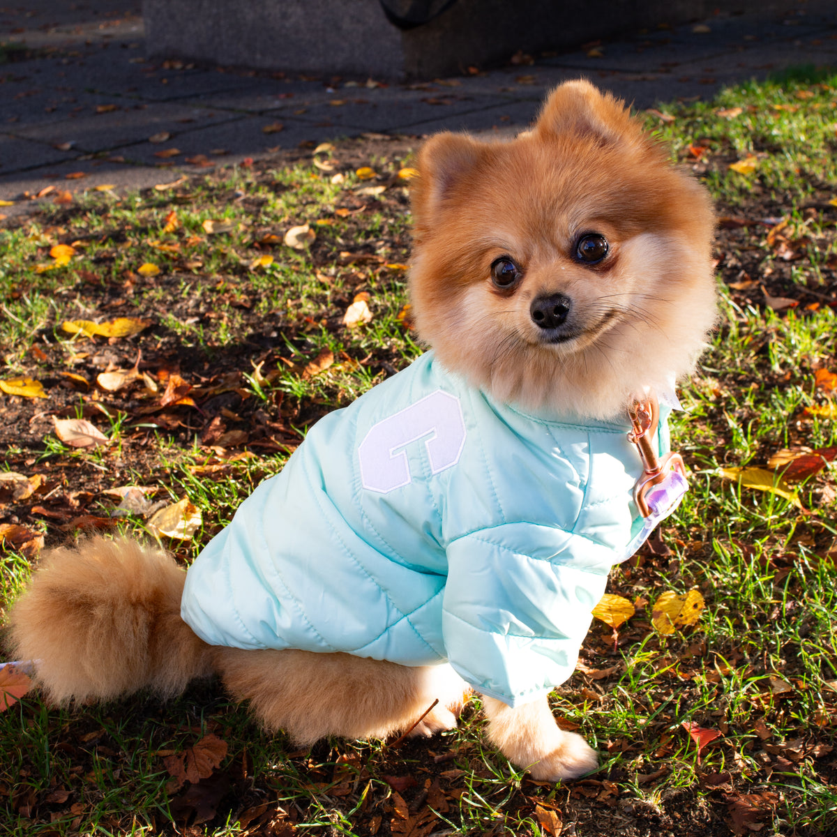 Cloud Puff Jacket (Blue / Pink)