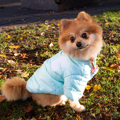 Cloud Puff Jacket (Blue / Pink)