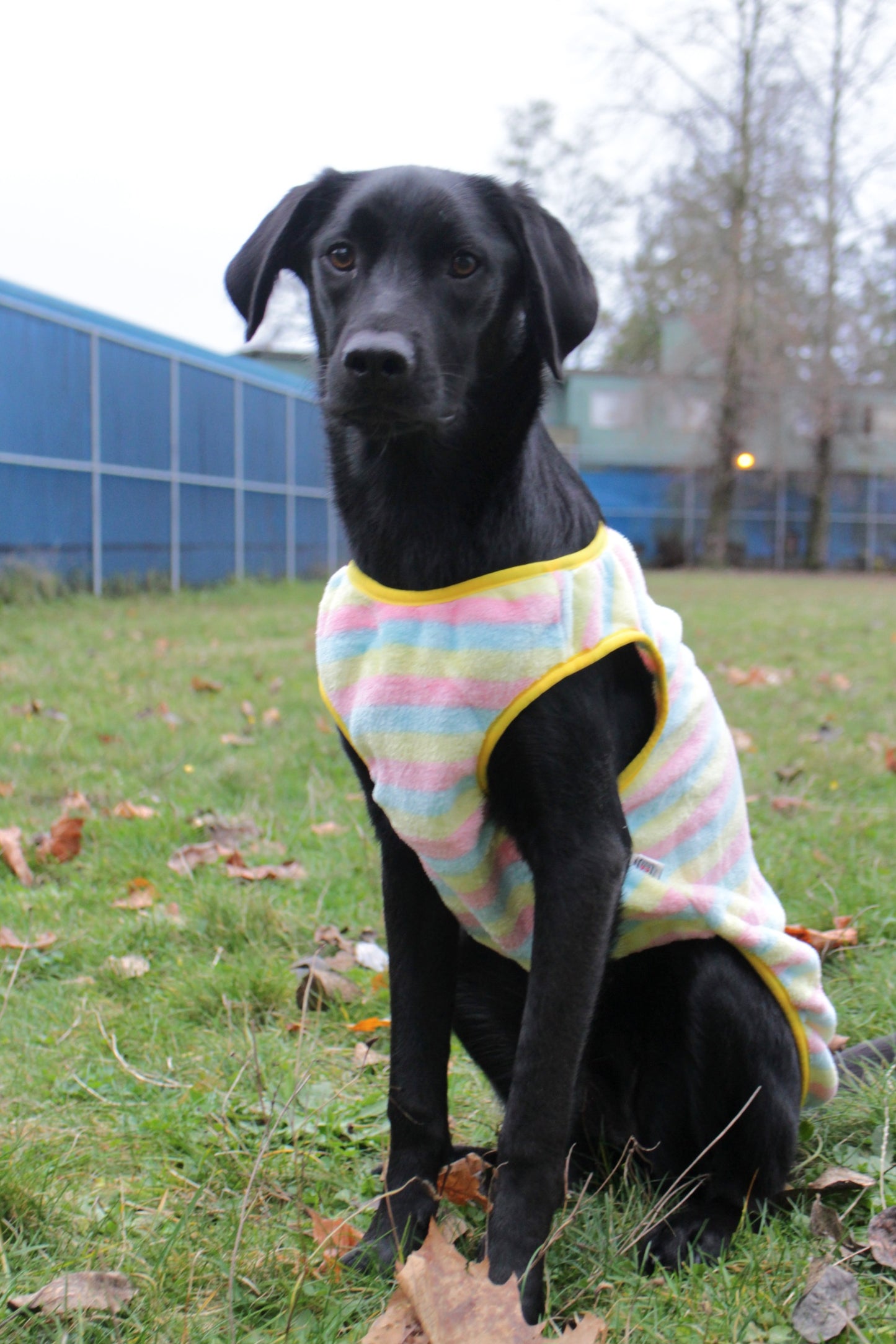 Yellow Striped Lightweight Dog Fleece Sweater