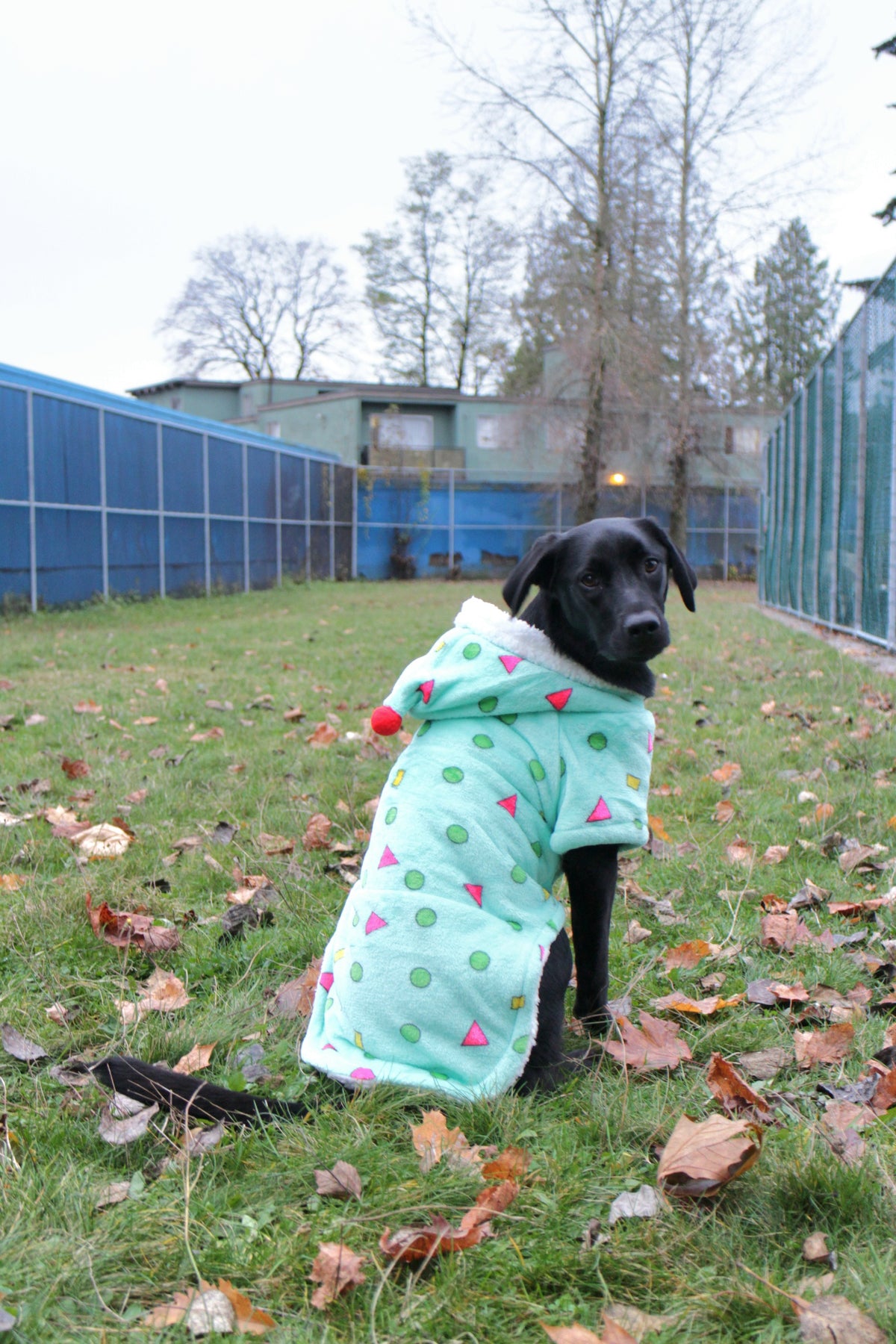 Cartoon Style Pajama with Repositionable Pillow Pin
