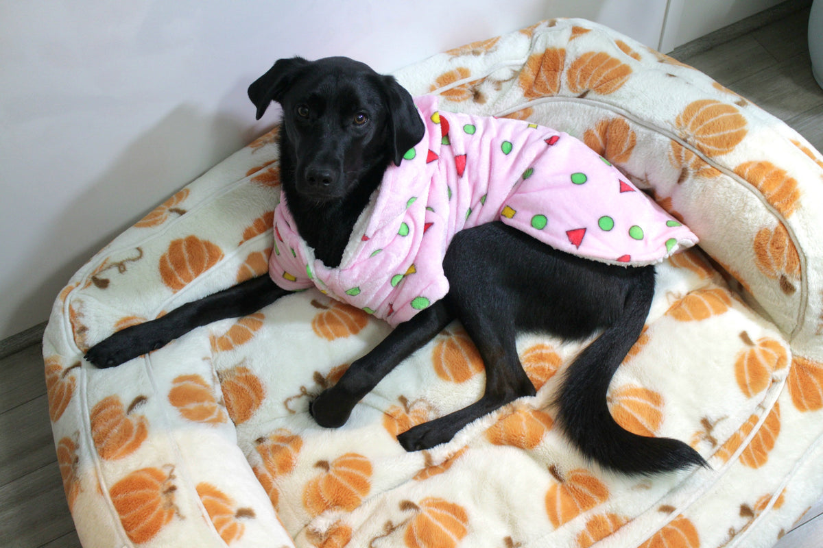 Cartoon Style Pajama with Repositionable Pillow Pin
