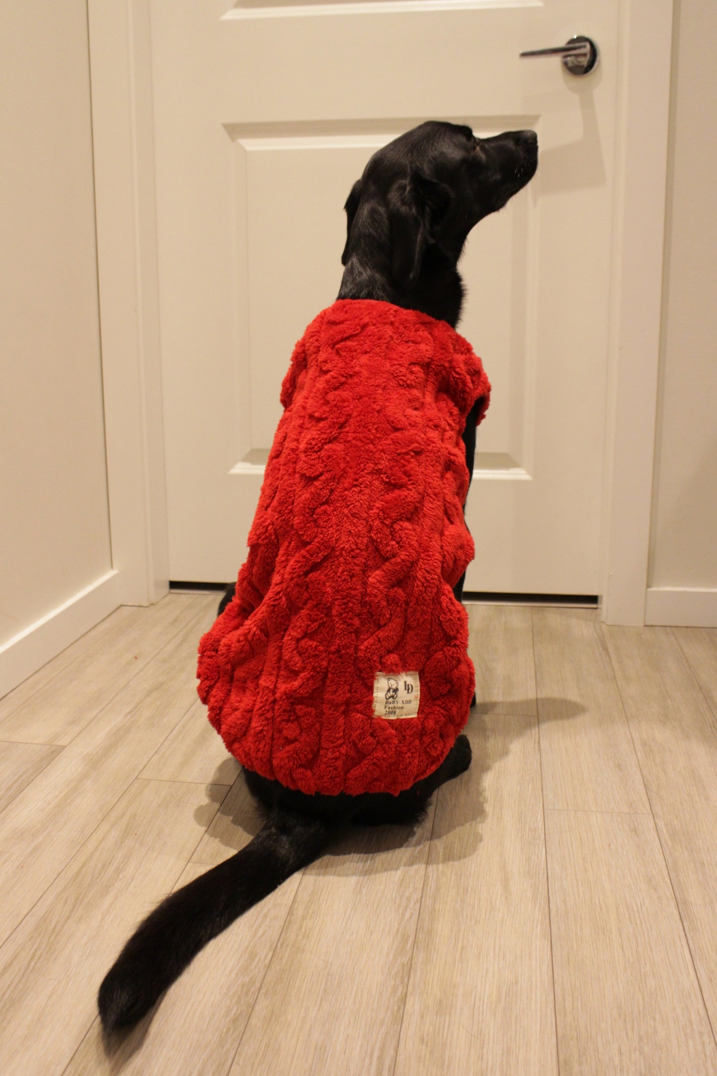 Red Knitted Lightweight Dog Fleece Sweater