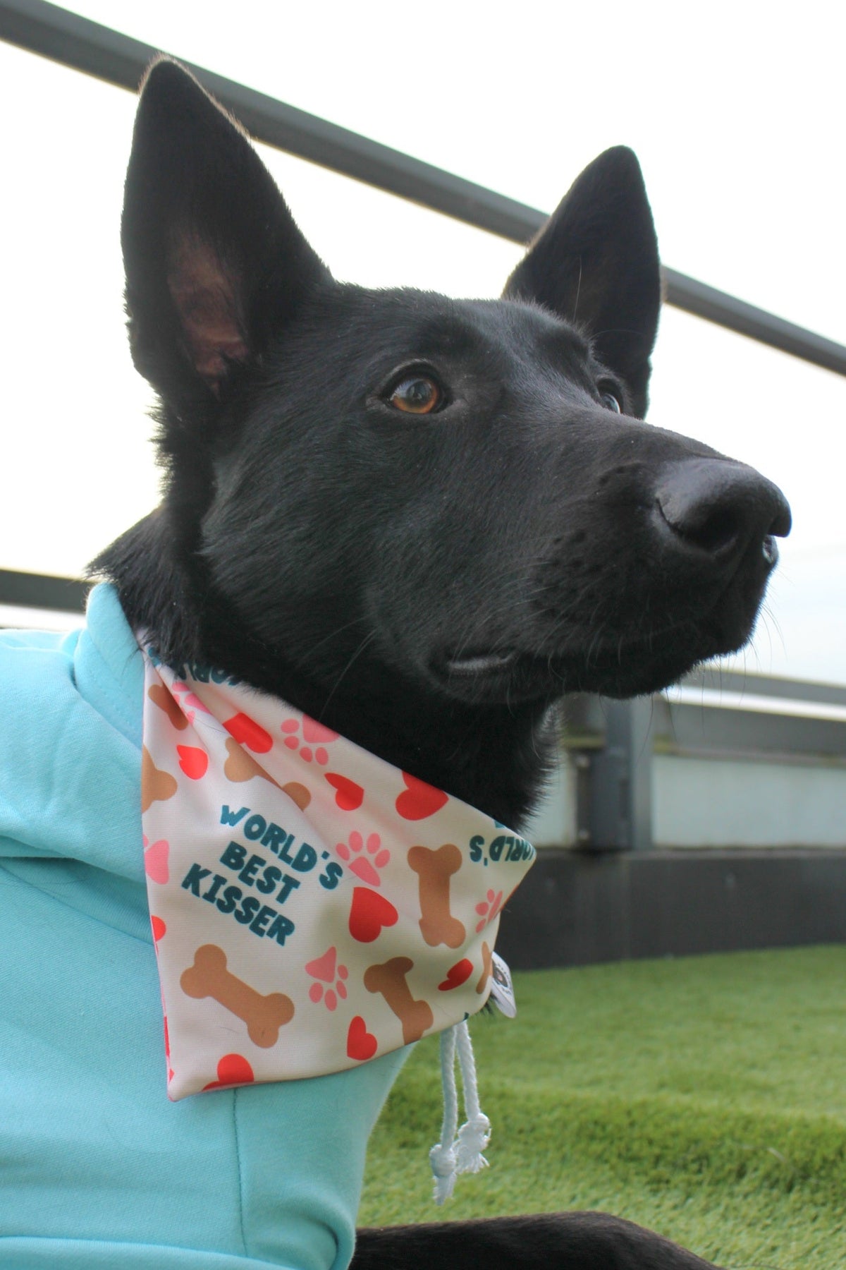 World's Best Kisser Bandanas