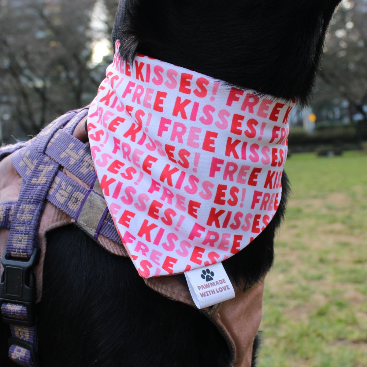 Free Kisses Bandanas
