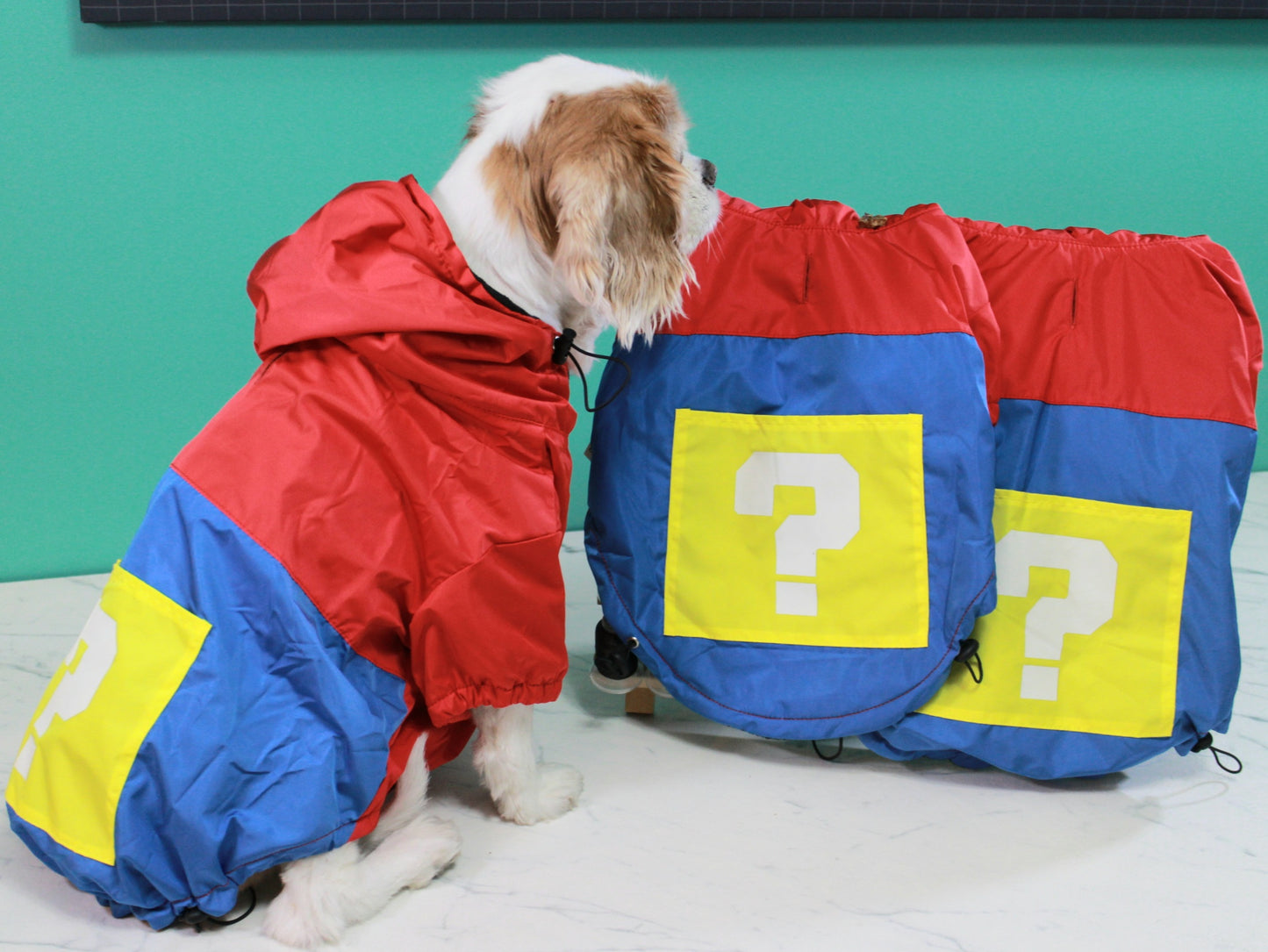 Dog Raincoat | Mario-Themed Pet Waterproof Jacket