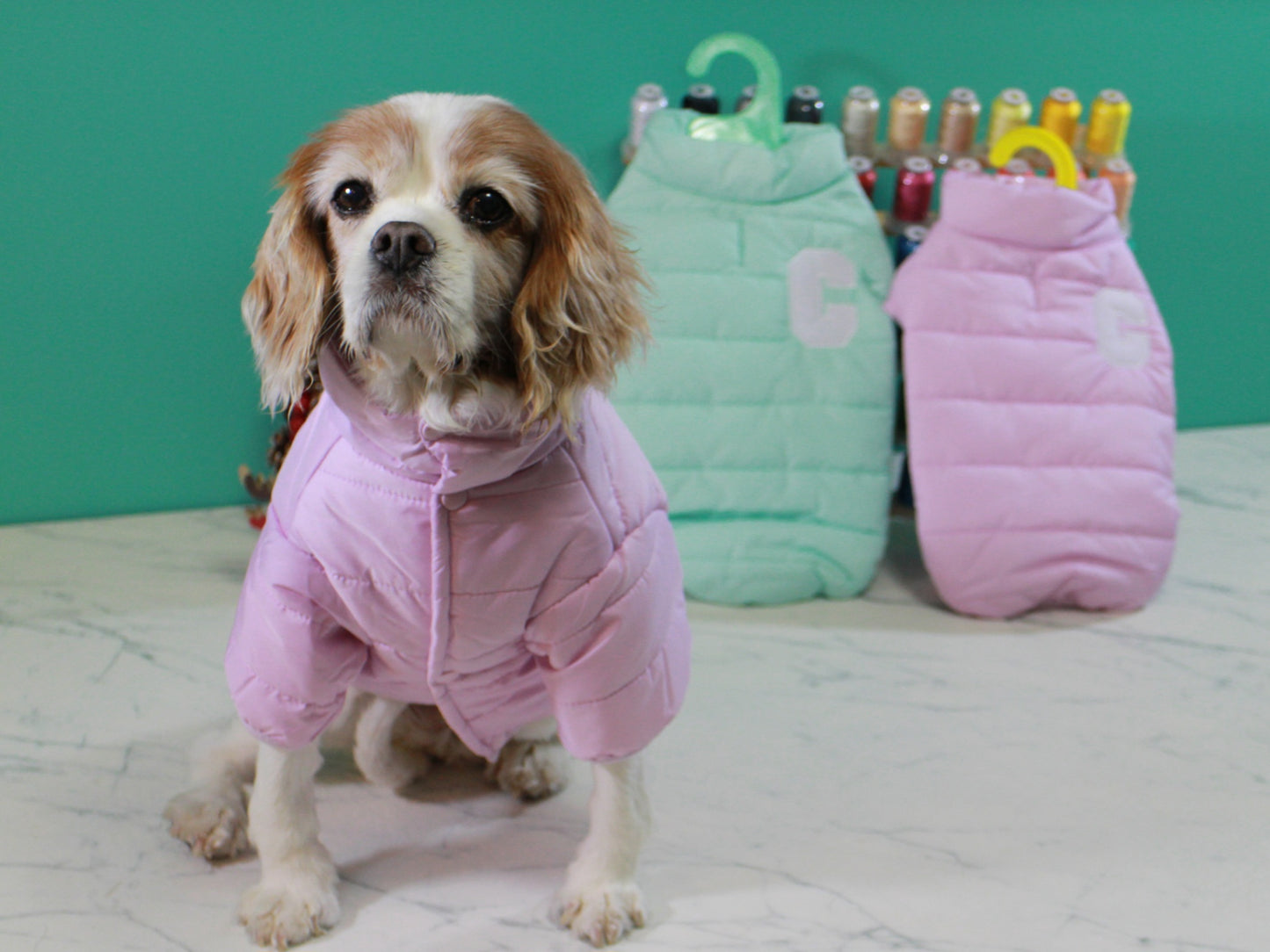 Insulated Puffer Jacket for Dogs | Mint Green Dreamy Pink