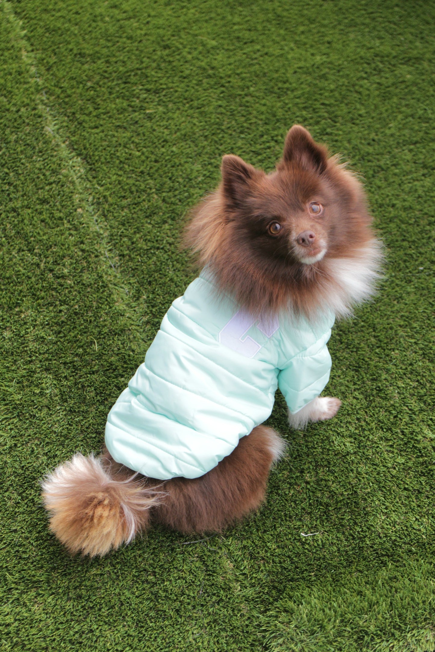 Insulated Puffer Jacket for Dogs | Mint Green Dreamy Pink