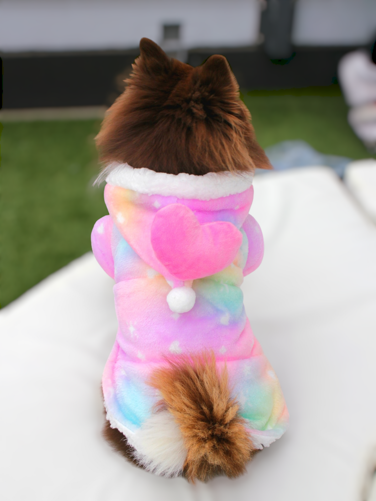 Rainbow Heart Hoodie