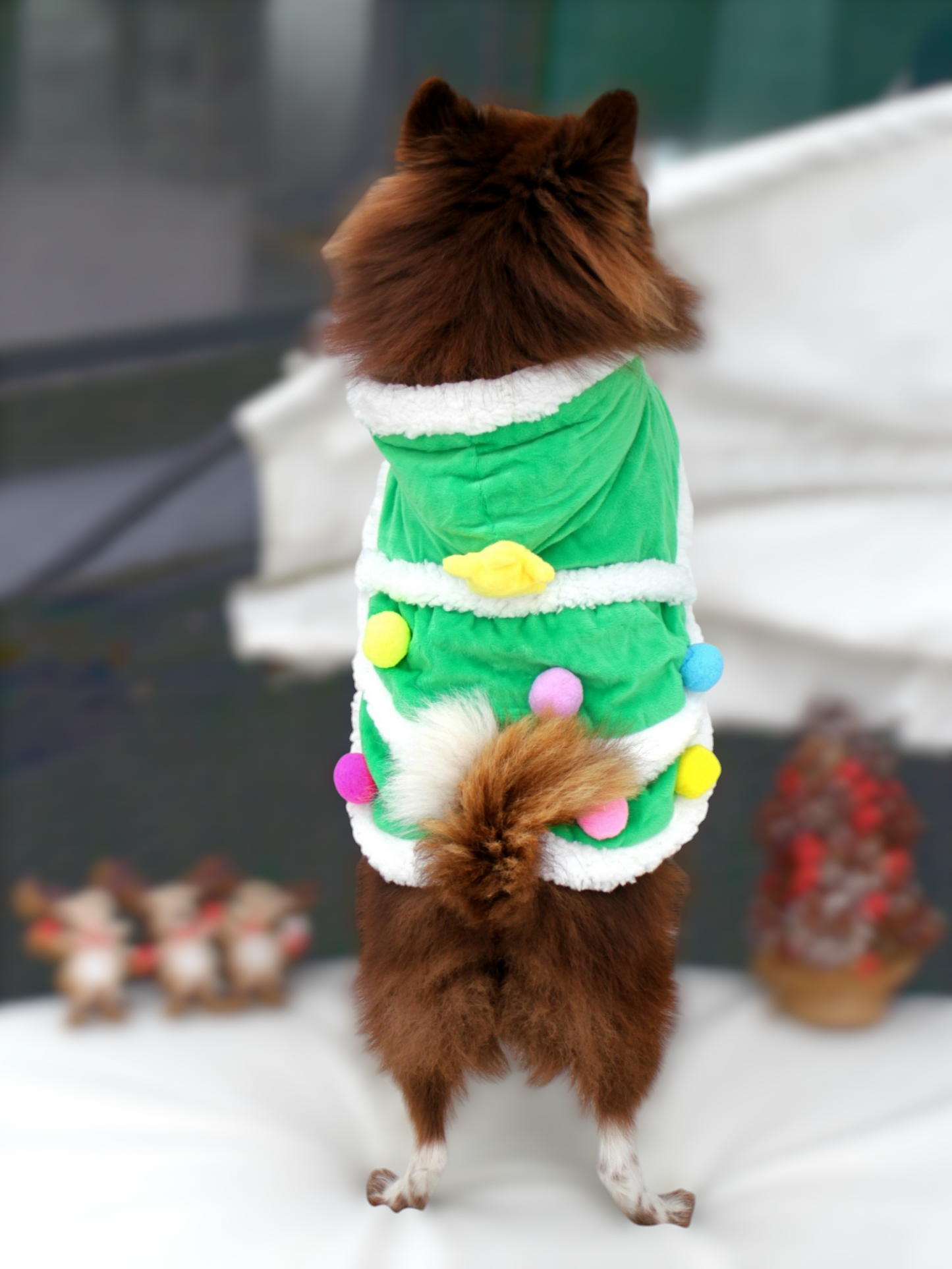 Pet Christmas Holiday Costume | Customized Embroidery Available