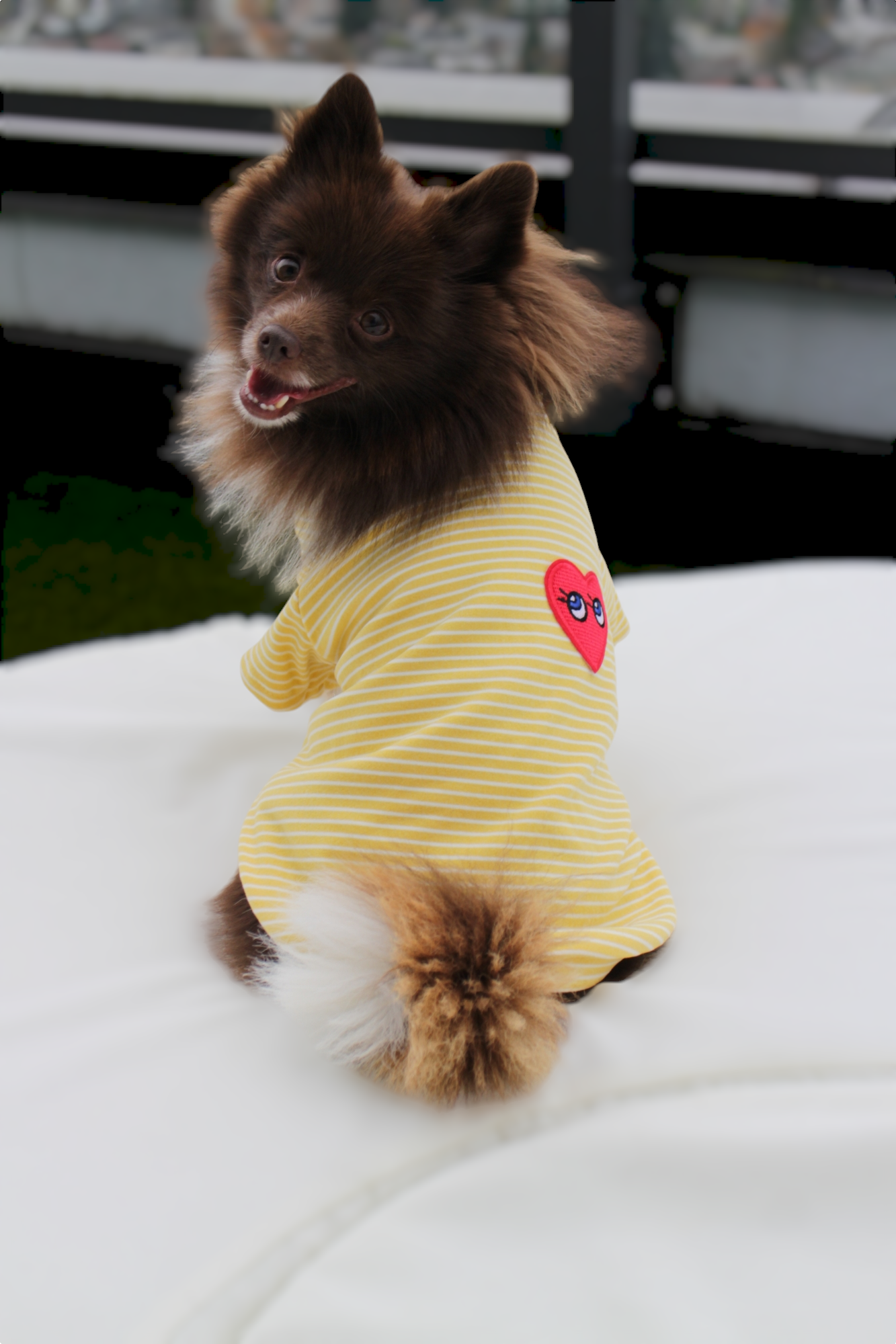 Striped Dog T-shirt with Heart Patch ♥ | Yellow & Pink