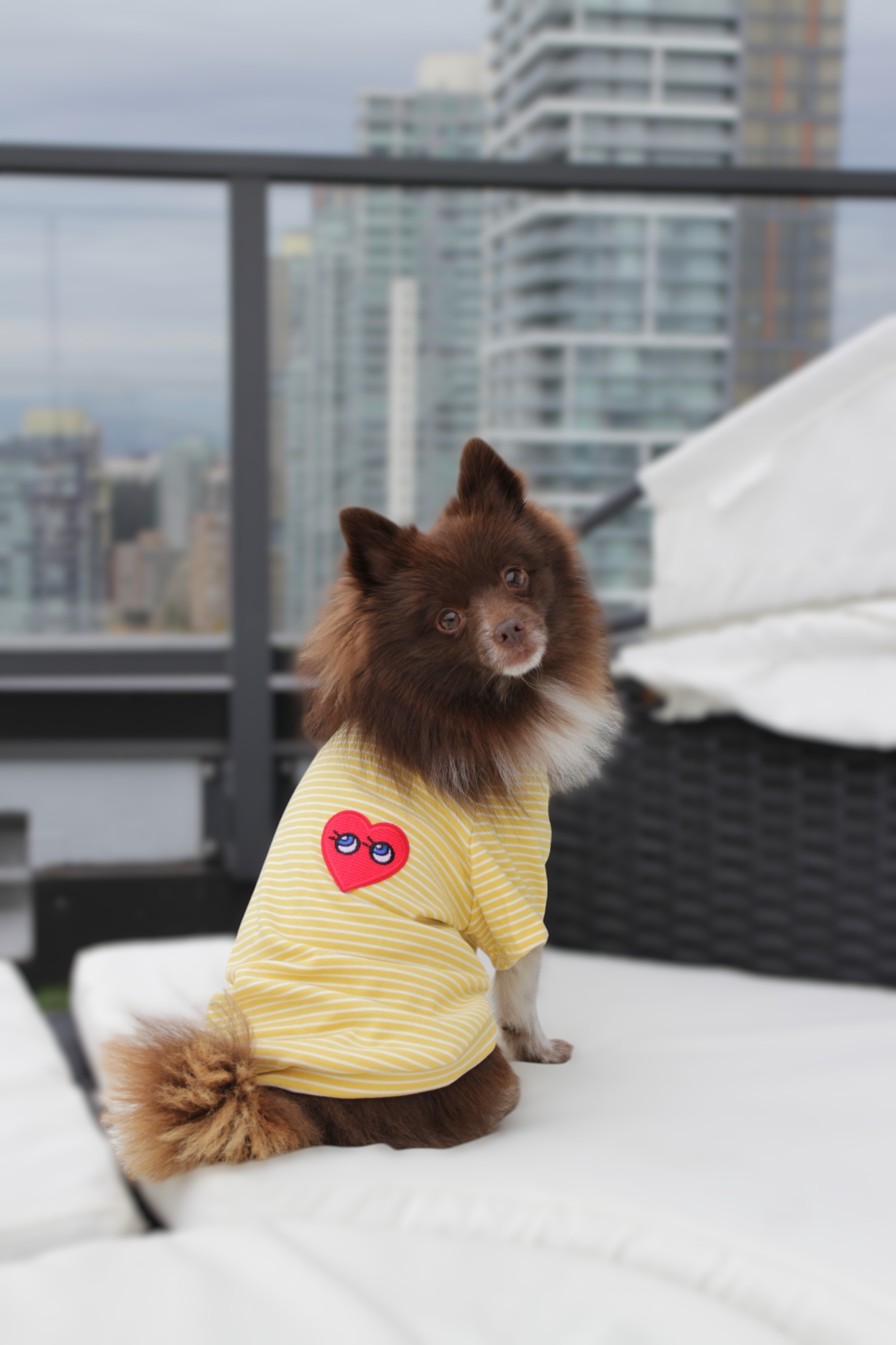 Striped Dog T-shirt with Heart Patch ♥ | Yellow & Pink