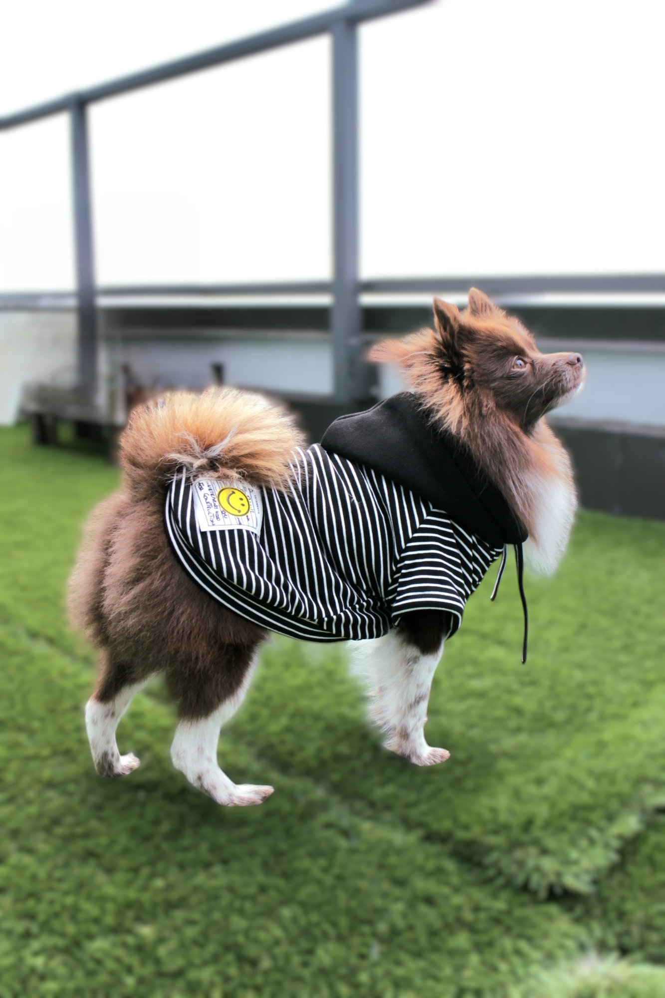 Thick and Warm Striped Hoodie with Yellow Smiley Patch