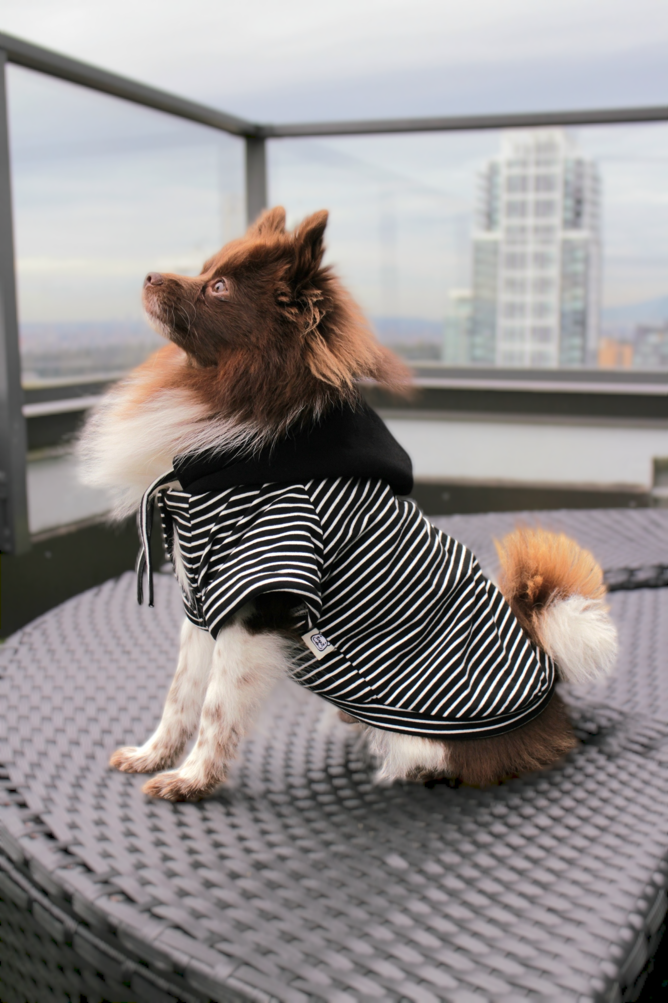 Thick and Warm Striped Hoodie with Yellow Smiley Patch