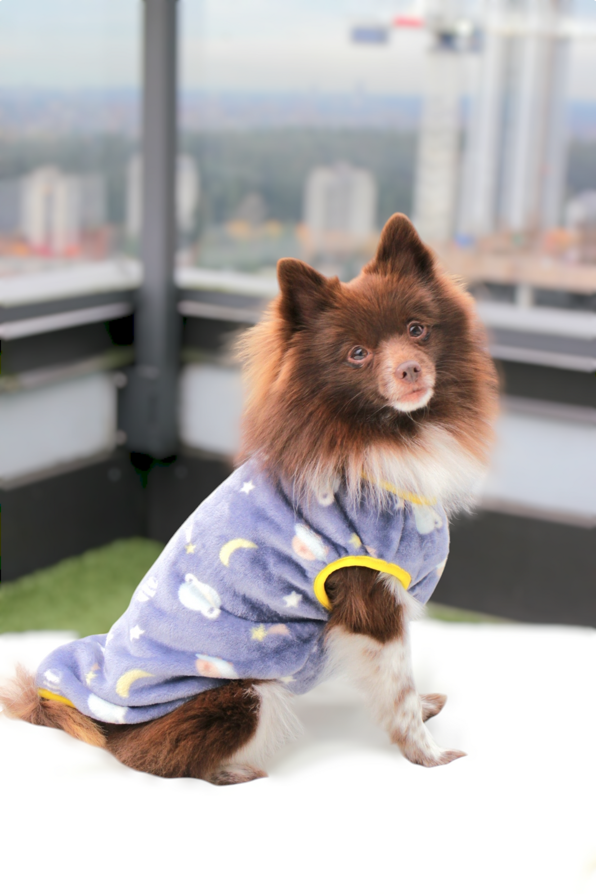 Nightsky Fleece Sweater