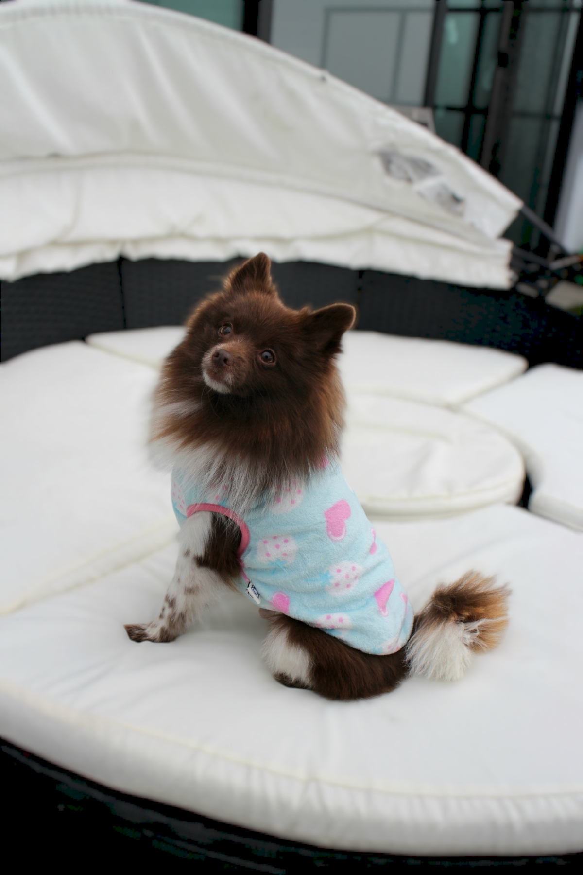Strawberry Pink Heart Lightweight Dog Fleece Sweater