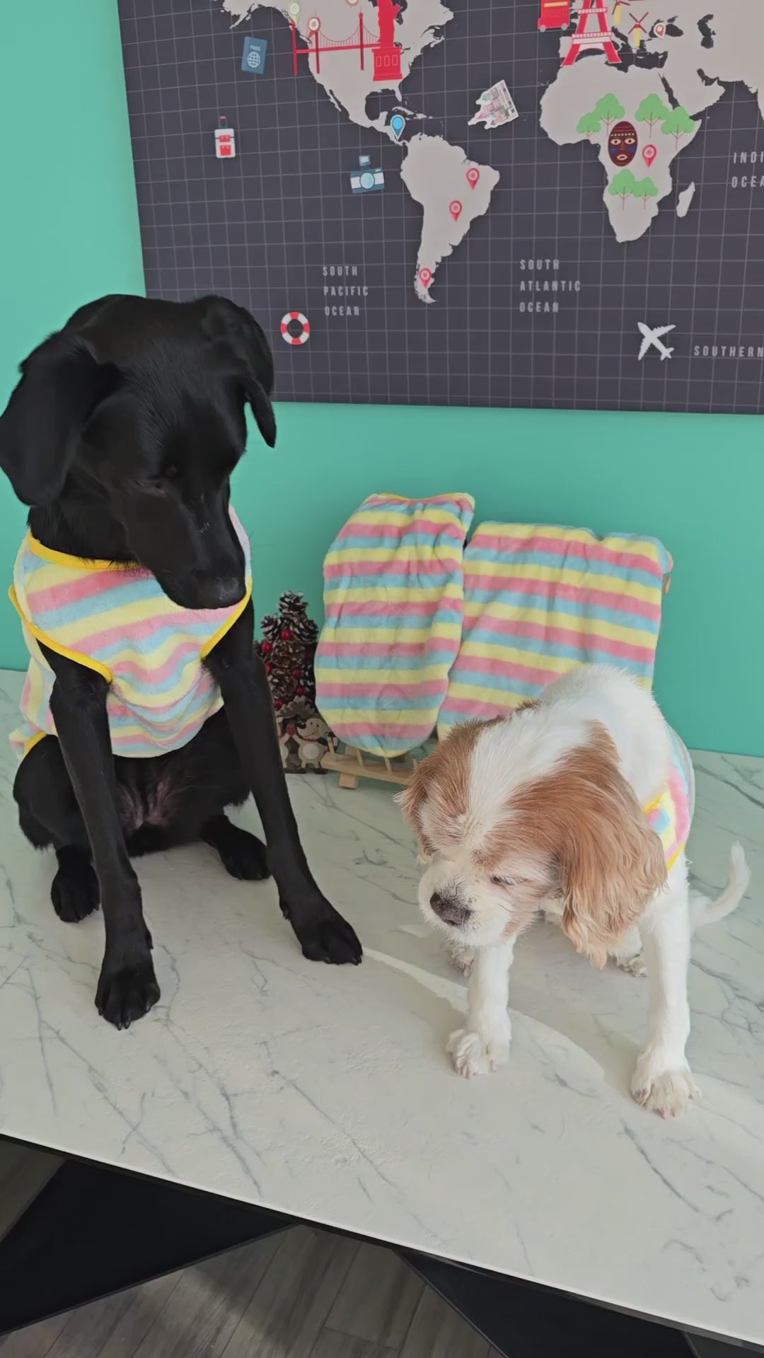 Yellow Striped Lightweight Dog Fleece Sweater